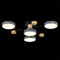 Купить с доставкой по Москве и России Люстра на штанге Evoluce SLE6006-702-04