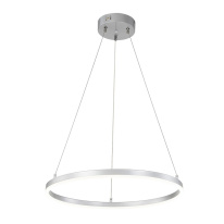Фото Подвесной светильник Escada 10254/1LED Silver APP