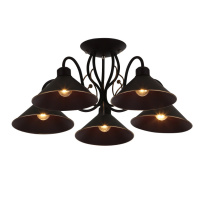 Фото Люстра на штанге Evoluce SLE120402-05