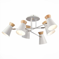 Фото Люстра на штанге Evoluce SLE1252-502-06