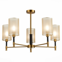 Фото Люстра на штанге Evoluce SLE300302-05