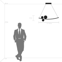Купить с доставкой по Москве и России Подвесной светильник Lightstar 815436