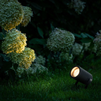 Купить с доставкой по Москве и России Грунтовый светильник Elektrostandard Landscape черный (35146/S)