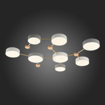 Купить с доставкой по Москве и России Накладной светильник Evoluce SLE600102-08