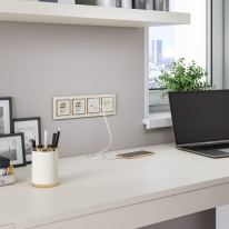 Купить с доставкой по Москве и России Розетка Werkel W1181103