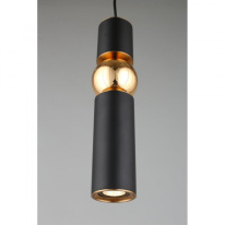 Купить Подвесной светильник APLOYT APL.615.06.01