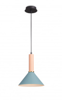 Фото Подвесной светильник Simple Story 1184-1PL