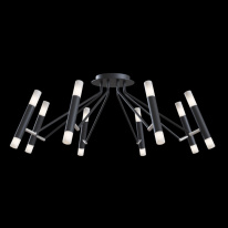 Цена на Накладная люстра Maytoni MOD620CL-16B