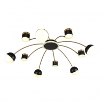 Фото Накладная люстра F-Promo 3096-10P