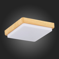 Цена на Накладной светильник Evoluce SLE200202-01