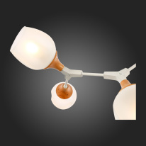 Цена на Люстра на штанге Evoluce SLE113502-05