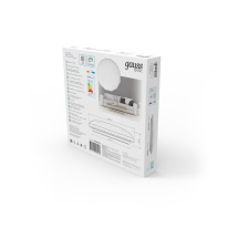 Купить с доставкой по Москве и России Накладной светильник Gauss 995439260