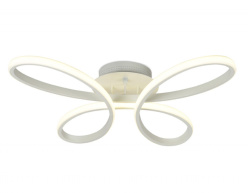 Фото Накладной светильник Ambrella Light FL301