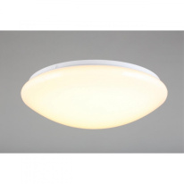 Купить с доставкой по Москве и России Накладной светильник Omnilux OML-43007-40