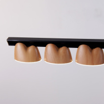 Цена на Подвесная люстра Favourite 4266-10P