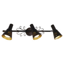 Фото Спот Citilux CL529531