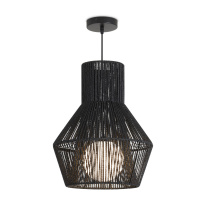Фото Подвесной светильник Freya FR5405PL-01B
