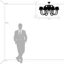 Купить Люстра на штанге Lightstar 809086