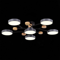 Купить с доставкой по Москве и России Люстра на штанге Evoluce SLE6006-702-06