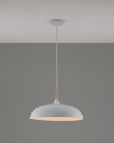 Фото Подвесной светильник Moderli Moderli V1330-P Hygo 1*E27*60W подвесной