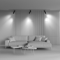 Купить с доставкой по Москве и России Светильник на шине Maytoni Technical TR005-2-2X12W3K-B