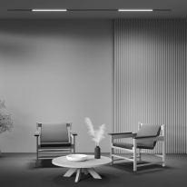 Купить с доставкой по Москве и России Светильник на шине Maytoni Technical TR074-2-20W4K-B