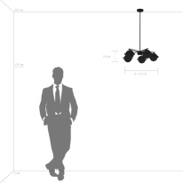 Купить с доставкой по Москве и России Люстра на штанге Lightstar 815257