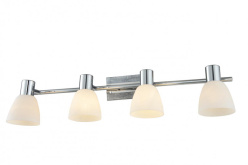 Фото Спот TOPLIGHT TL3700Y-04GR