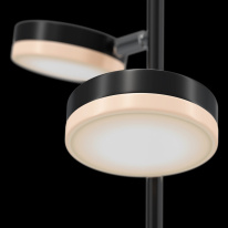 Купить Подвесной светильник Maytoni MOD070PL-L18B3K