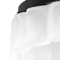 Подвесная люстра Lightstar 812236 в интернет магазине Гет Лайт