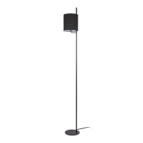 Фото Торшер LOFT IT 10253F/A Black