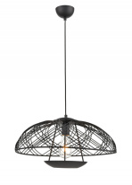 Купить с доставкой по Москве и России Подвесной светильник Vele Luce VL6282P01