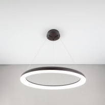 Купить с доставкой по Москве и России Подвесная люстра Citilux CL730A095S