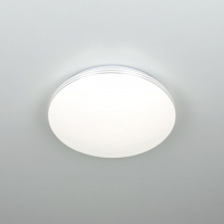 Накладной светильник Citilux CL71424SV в интернет магазине Гет Лайт