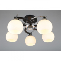 Купить Накладная люстра Omnilux OML-25407-05