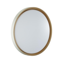 Фото Накладной светильник Sonex 7645/DL