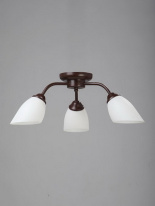 Фото Накладная люстра Vitaluce V3252/3PL