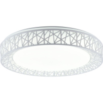 Фото Накладной светильник TOPLIGHT TL1204X-72WH