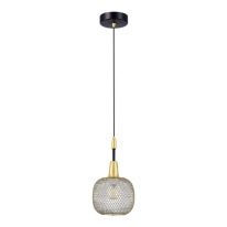 Купить с доставкой по Москве и России Подвесной светильник Evoluce SLE1137-403-01