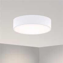 Купить Накладной светильник Arlight 022131(2)