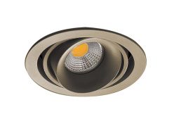 Купить Встраиваемый светильник Donolux DL18615/01WW-R Champagne/Black