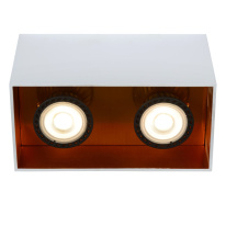 Цена на Накладной светильник LUCIDE 22966/02/31