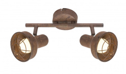 Фото Спот Globo 54810-2