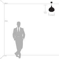 Купить с доставкой по Москве и России Подвесной светильник Lightstar 798031