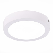 Фото Накладной светильник ST-Luce ST112.542.12