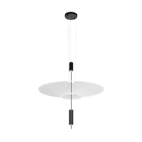 Купить Подвесной светильник LOFT IT 10244/A Black