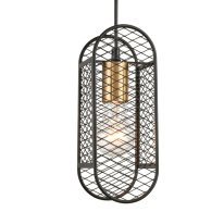 Цена на Подвесной светильник Vele Luce VL6342P01