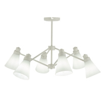 Фото Люстра на штанге Evoluce SLE103502-06