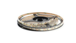 Купить Лента SWG SWG3120-12-9.6-WW-65-M