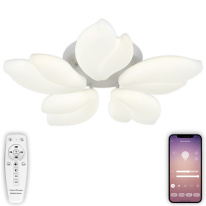 Фото Накладная люстра Natali Kovaltseva LED LAMPS 81116